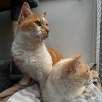 Photo of Rusty And Oscar 