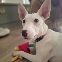 Photo of Aqua