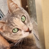 Photo of Zoe