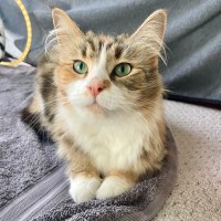 Photo of Flora
