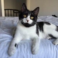 Photo of Dottie