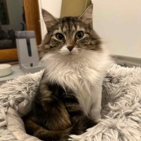 Photo of Leia ☁️