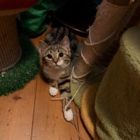 Photo of Tabitha