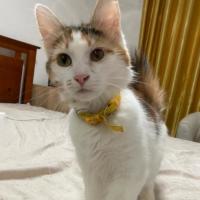 Photo of Molly