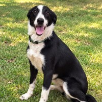Photo of Gladys