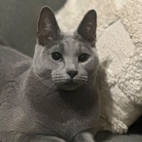 Photo of Rurik 😻💥⭐️