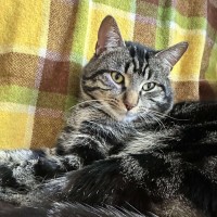 Photo of Jones   Meet Me @ Pe Tstock Prahran!