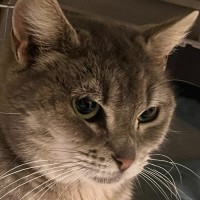 Photo of Sylvie