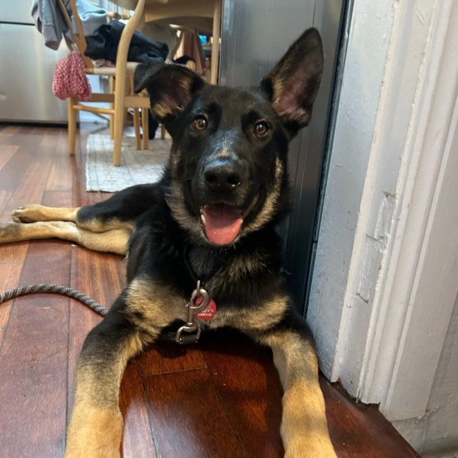 Photo of Raider