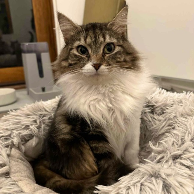 Photo of Leia ☁️