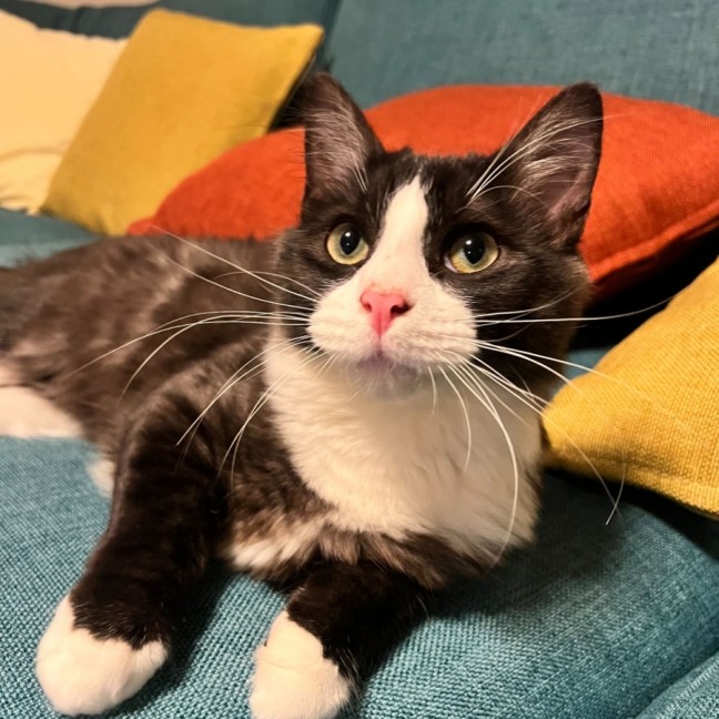 Photo of Zipper