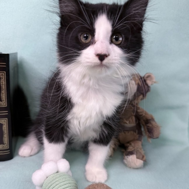 Photo of Gracie May 🌷