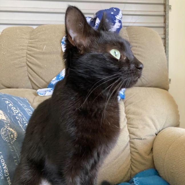 Photo of Candy