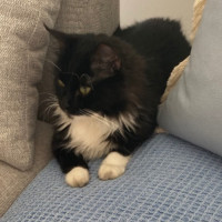 Photo of Kylie