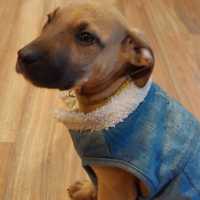Photo of Yukio