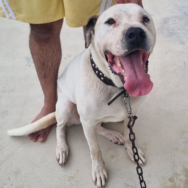 Photo of Zeus