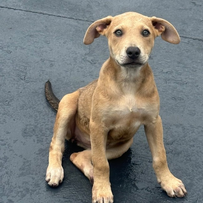 Photo of Payton ⭐️🌈🦋