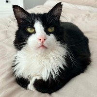 Photo of Sassy (Located In Carlton)