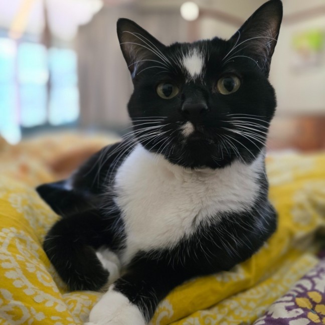 Photo of Baileys