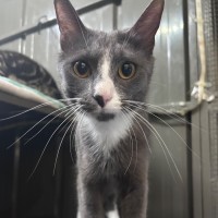 Photo of Rebel Whopper 🍔 🍟 🥤 