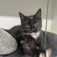 Photo of 🍿 Pokey 7007 🍿