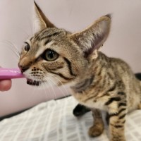 Photo of Andy   On Display @ Vets On Parker