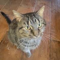 Photo of Teddy