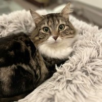 Photo of Leia ☁️