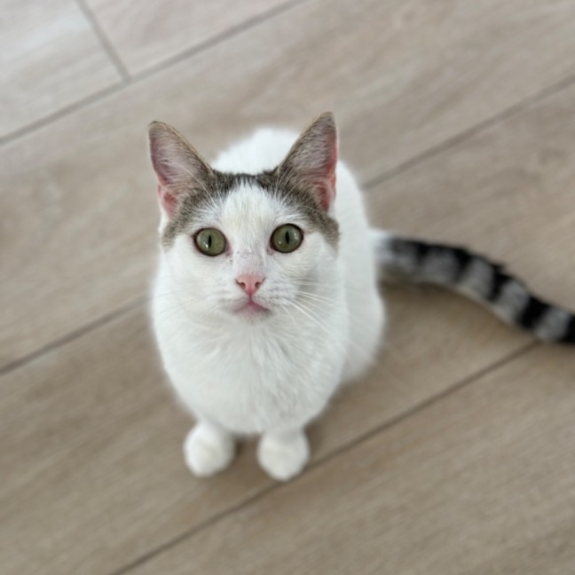 Photo of Sugar