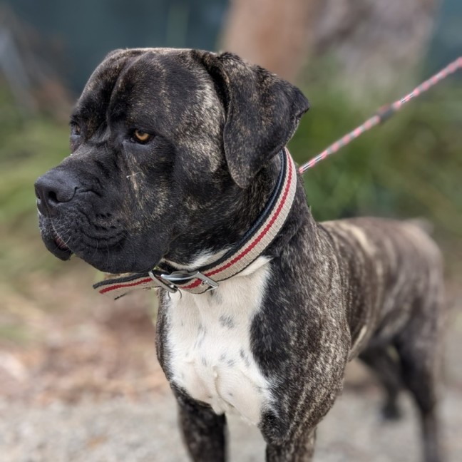 Photo of 🥛 Eggnog 5520 🥛