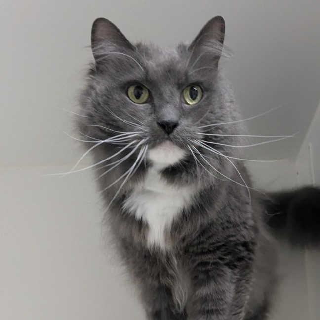 Photo of 💞 Pablo 6791 💞