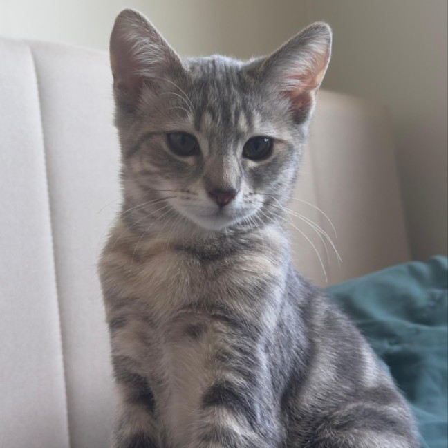 Photo of Perla/Winnie