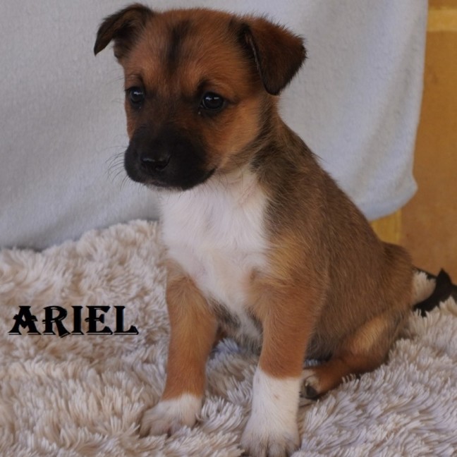 Photo of April Ariel And Arty