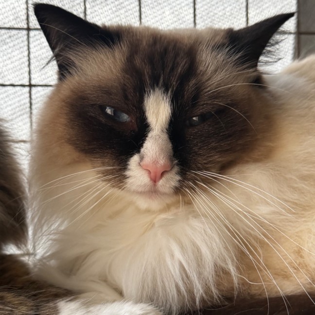 Photo of Molly And Maddox 