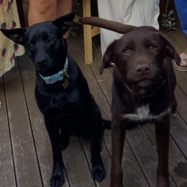 Photo of Lenny