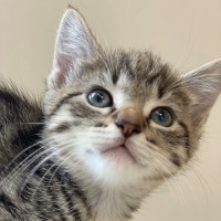 Photo of C1437 Nancy