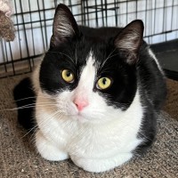 Photo of Felix   Can Transport To You