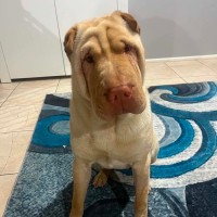 Photo of Zoe