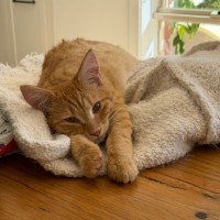 Photo of Jasper 
