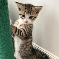 Photo of 😎 Simon 😎