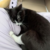 Photo of Slinky