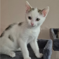 Photo of Elsa