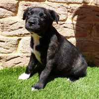 Photo of Arty