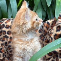 Photo of Marshall 🩵🧢🩵