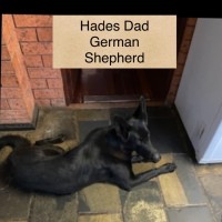 Photo of Hades