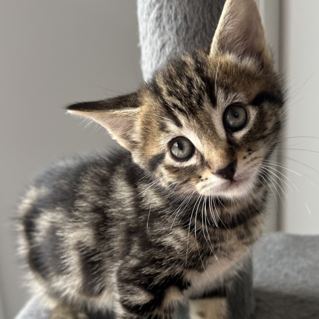 Photo of Milford 💙