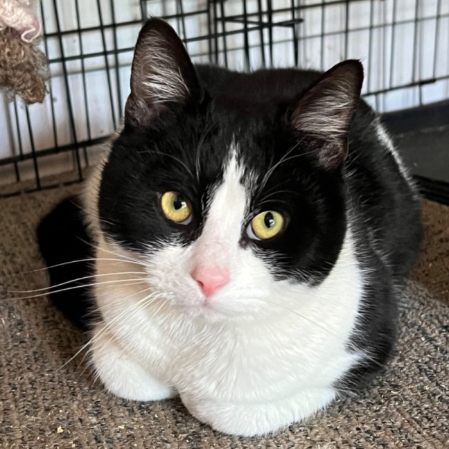 Photo of Felix   Can Transport To You