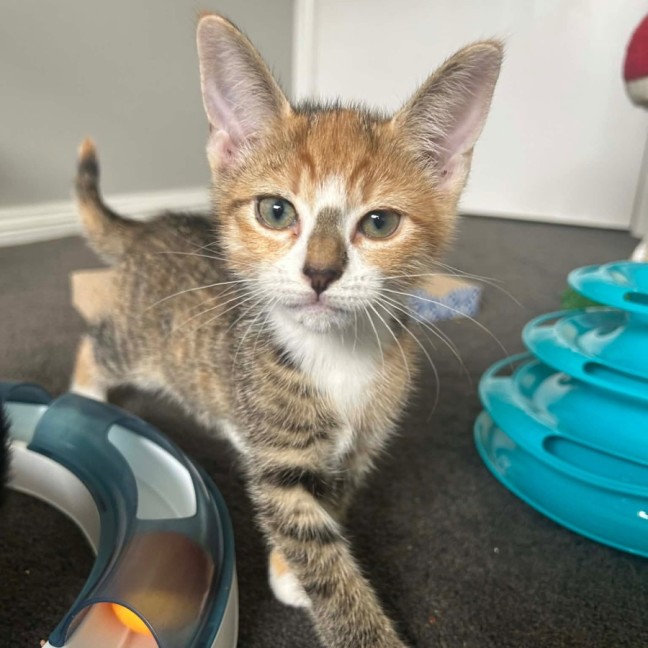 Photo of California 🇺🇸 