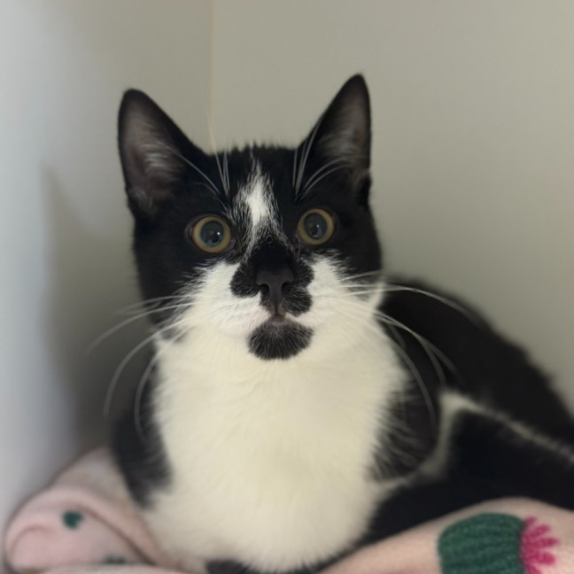 Photo of 🌵 Jeremiah 6268 🌵