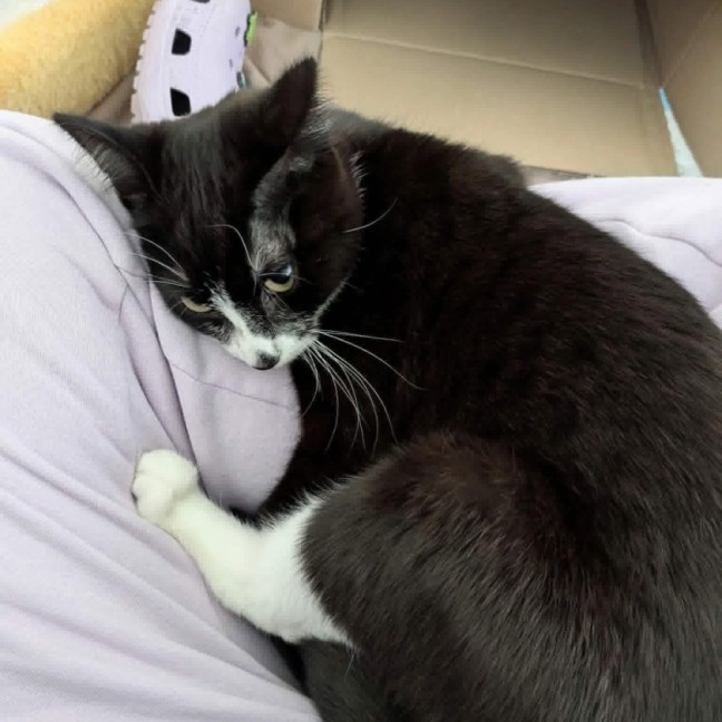 Photo of Slinky